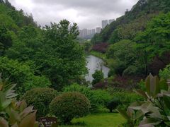 -桃花岭景区