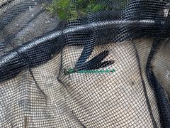 -碓臼峪自然风景区