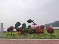 -野狸岛