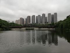 -重庆彩云湖湿地公园
