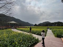 -广州市石门国家森林公园