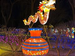 -南宫五洲植物乐园