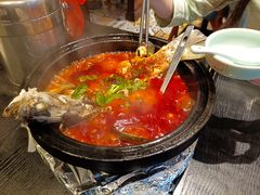 招牌石锅鱼-蜀香坊(Box Hill)