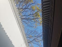 -绮园景区