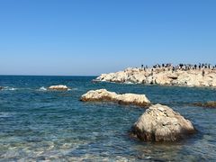 -养马岛旅游度假区