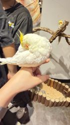 -Zoolung Zoolung动物主题公园(海信广场店)