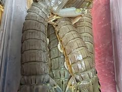 腌皮皮虾-渔娘渔家丹东海鲜(东直门店)