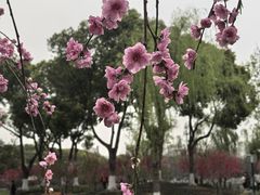 -圩墩遗址公园