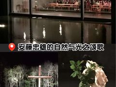 -水之教会