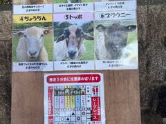-神户市立六甲山牧场