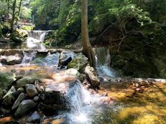 -牛背梁国家森林公园