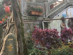 -国生茶庄·地道农家菜团建活动