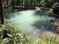 -重庆九凤瑶池海明山庄