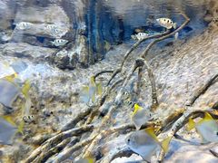 -上海海洋水族馆