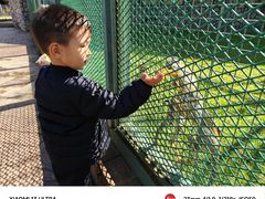 -横道河子东北虎林园