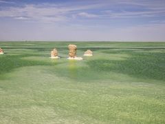 -察尔汗盐湖