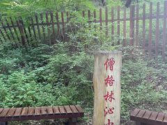 -大青沟风景区