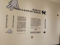 -分子跳动鲜活面包(五一大道店)