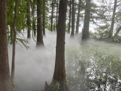 -东湖落雁景区
