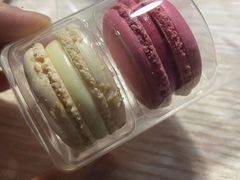 -皇冠幸福里动物奶油生日蛋糕(宗关地铁店)