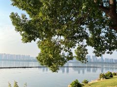 -东湖生态旅游风景区