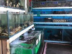 -垦丁辉哥生鱼片