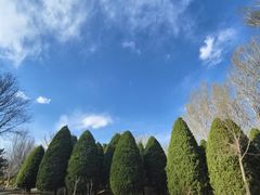 -燕郊植物园
