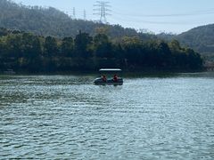 -水濂山森林公园