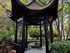 -东湖落雁景区