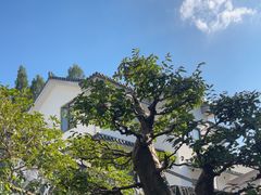 -古韵餐厅(湖畔大学店)