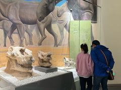 -国家自然博物馆