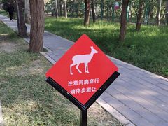 -北京麋鹿生态实验中心