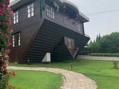 -金山农民画村-枫泾波兰倒置屋