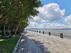 -深圳湾公园(南山区)
