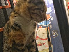 -三生小馆(亭知路店)