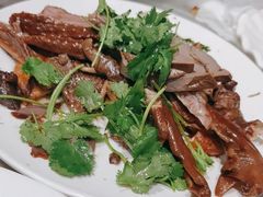 -日日香卤鹅饭店·澄海狮头鹅(澄海店)
