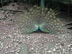 android_upload_pic-藏龙百瀑风景区