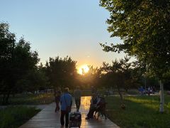 -长春公园(普阳街道)