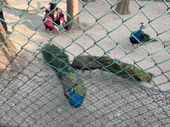 -南京金牛湖风景区