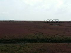 -红海滩国家风景廊道