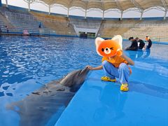 -北戴河圣蓝海洋公园