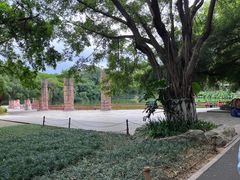 -南宁市动物园