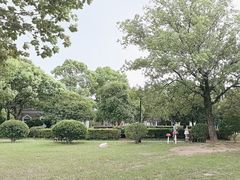 -燕鸣岛