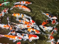 -泉城欧乐堡海洋极地世界