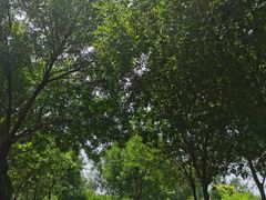 -大港湿地公园