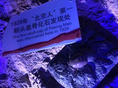 -周口店北京人遗址公园