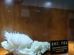 -青岛德国总督楼旧址博物馆
