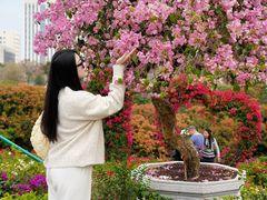 -东莞植物园