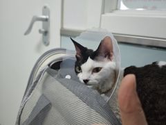 -达爱动物医院·犬猫分区·CT·复杂眼科(远洋山水分院)