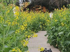 -中国天府农业博览园